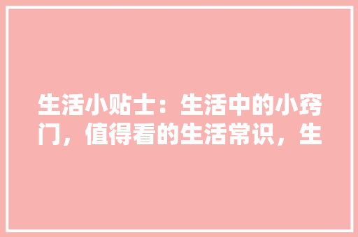 2023年上市座车型盘点,创新与变革共舞，引领汽车行业发展新风向 变速箱配件