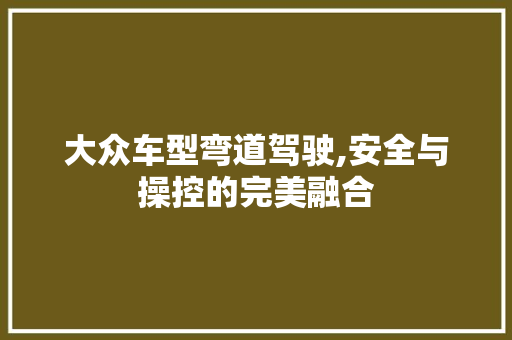 大众车型弯道驾驶,安全与操控的完美融合 底盘配件