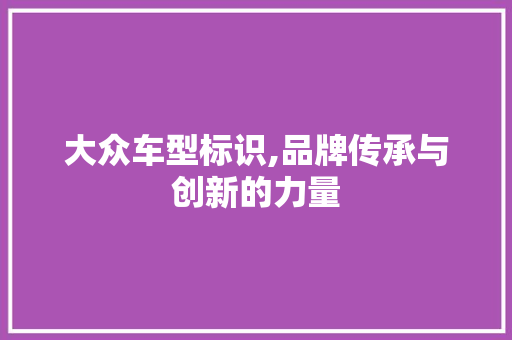 大众车型标识,品牌传承与创新的力量