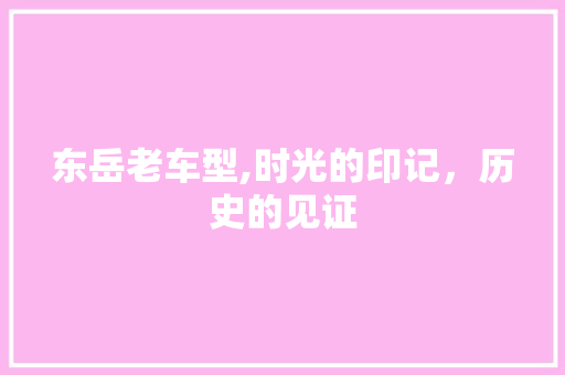 东岳老车型,时光的印记，历史的见证