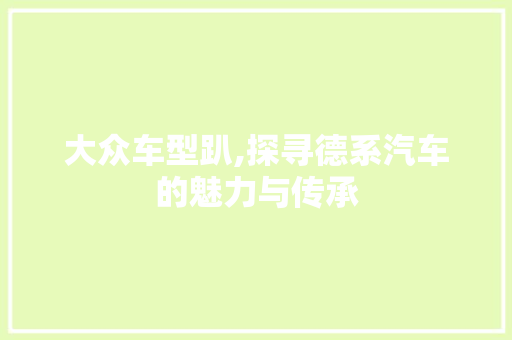 大众车型趴,探寻德系汽车的魅力与传承 新能源汽车