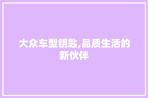 大众车型钥匙,品质生活的新伙伴