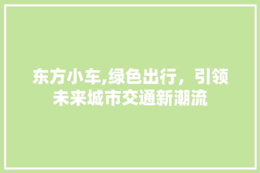 东方小车,绿色出行，引领未来城市交通新潮流