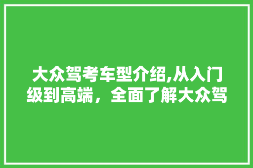 大众驾考车型介绍,从入门级到高端，全面了解大众驾考车型