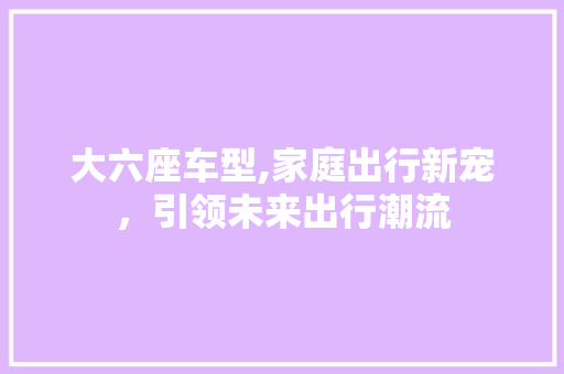 大六座车型,家庭出行新宠，引领未来出行潮流