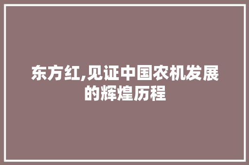 东方红,见证中国农机发展的辉煌历程