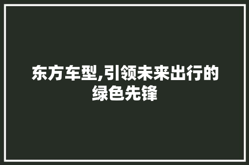 东方车型,引领未来出行的绿色先锋