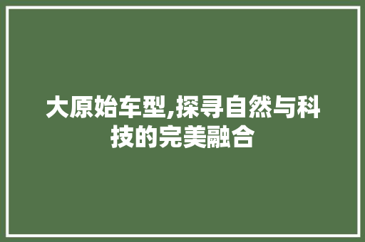 大原始车型,探寻自然与科技的完美融合 蓄电池配件