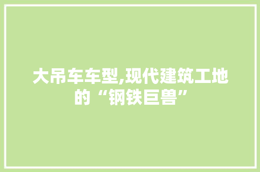 大吊车车型,现代建筑工地的“钢铁巨兽”