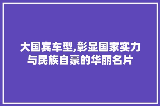大国宾车型,彰显国家实力与民族自豪的华丽名片