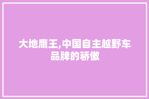 大地鹰王,中国自主越野车品牌的骄傲 蓄电池配件