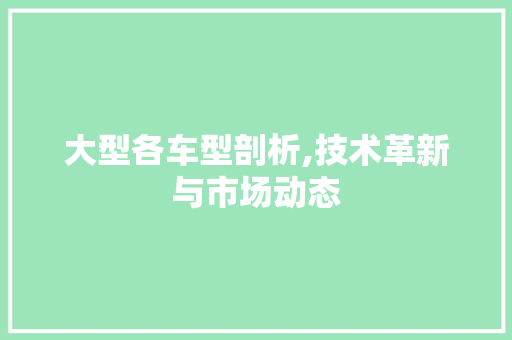 大型各车型剖析,技术革新与市场动态 汽车配件