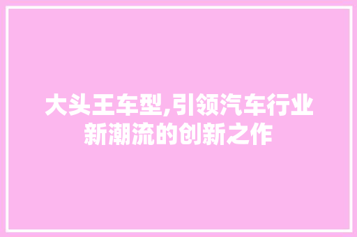 大头王车型,引领汽车行业新潮流的创新之作