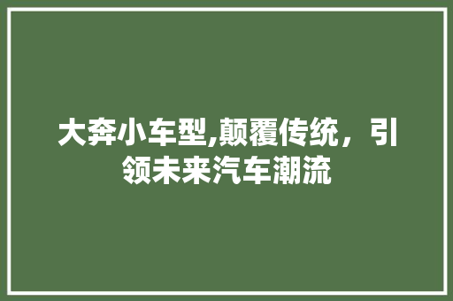 大奔小车型,颠覆传统，引领未来汽车潮流