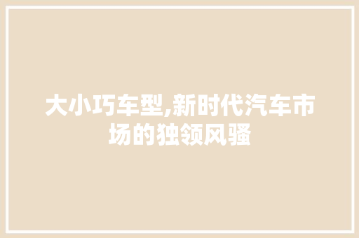 大小巧车型,新时代汽车市场的独领风骚