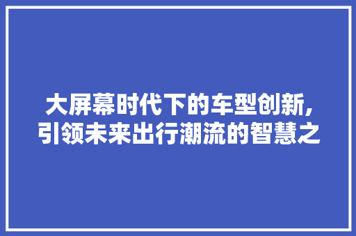 大屏幕时代下的车型创新,引领未来出行潮流的智慧之选