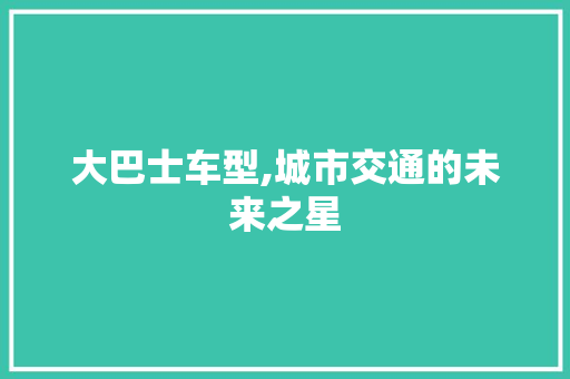 大巴士车型,城市交通的未来之星
