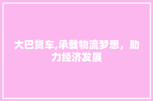 大巴货车,承载物流梦想，助力经济发展