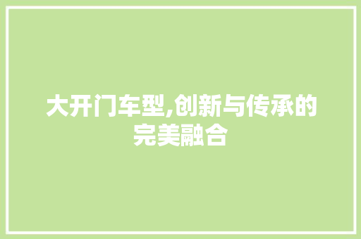大开门车型,创新与传承的完美融合