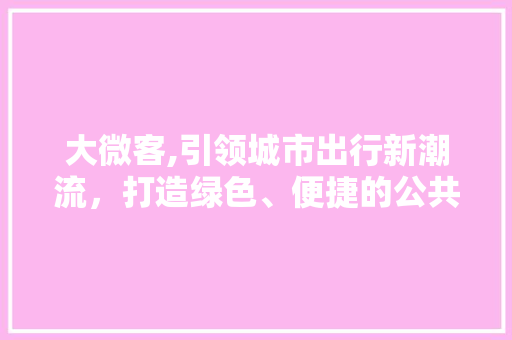 大微客,引领城市出行新潮流，打造绿色、便捷的公共交通解决方法