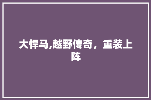 大悍马,越野传奇，重装上阵
