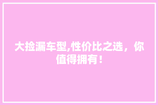 大捡漏车型,性价比之选，你值得拥有！
