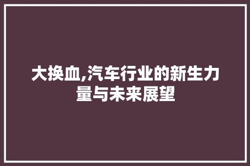 大换血,汽车行业的新生力量与未来展望