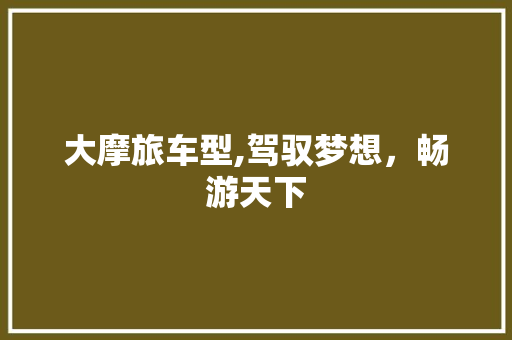 大摩旅车型,驾驭梦想，畅游天下