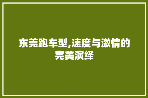 东莞跑车型,速度与激情的完美演绎