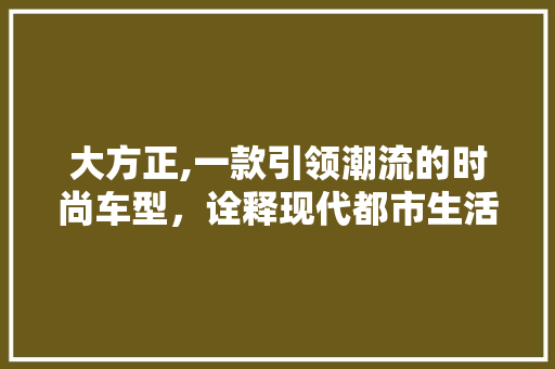 大方正,一款引领潮流的时尚车型，诠释现代都市生活方法