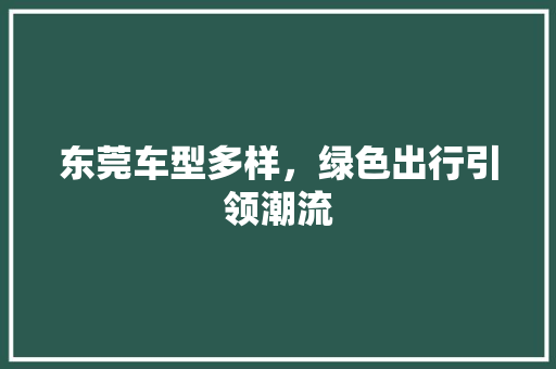 东莞车型多样，绿色出行引领潮流