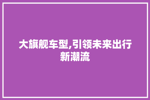 大旗舰车型,引领未来出行新潮流