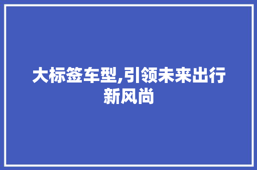 大标签车型,引领未来出行新风尚