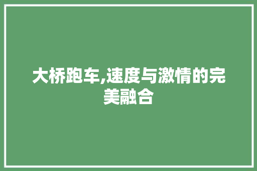 大桥跑车,速度与激情的完美融合