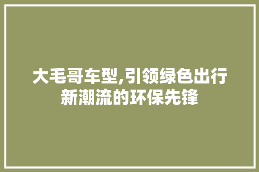 大毛哥车型,引领绿色出行新潮流的环保先锋