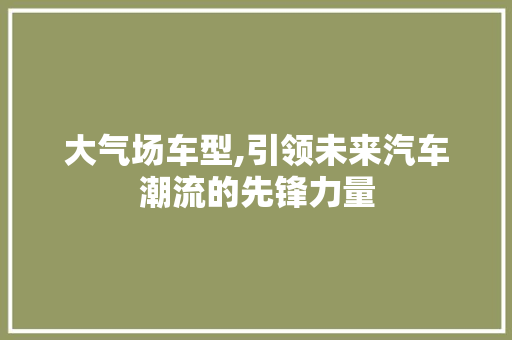 大气场车型,引领未来汽车潮流的先锋力量