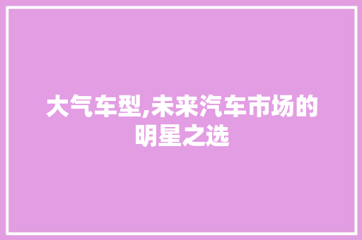 大气车型,未来汽车市场的明星之选