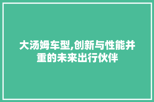 大汤姆车型,创新与性能并重的未来出行伙伴