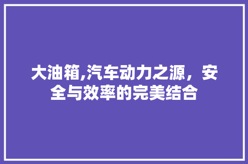 大油箱,汽车动力之源，安全与效率的完美结合