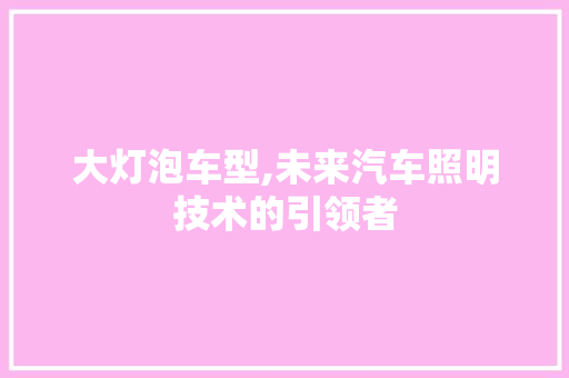 大灯泡车型,未来汽车照明技术的引领者