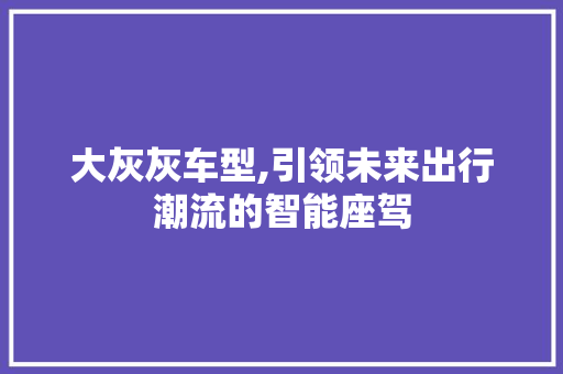 大灰灰车型,引领未来出行潮流的智能座驾