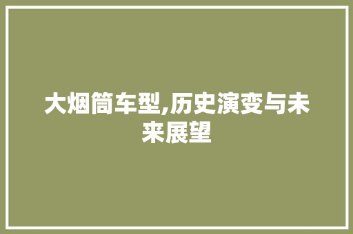 大烟筒车型,历史演变与未来展望