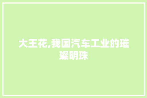大王花,我国汽车工业的璀璨明珠