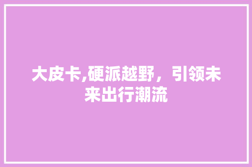 大皮卡,硬派越野，引领未来出行潮流