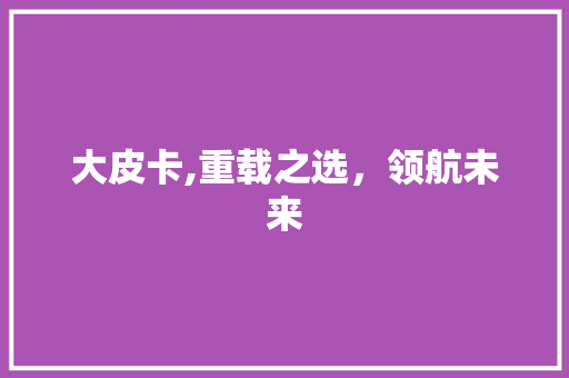 大皮卡,重载之选，领航未来