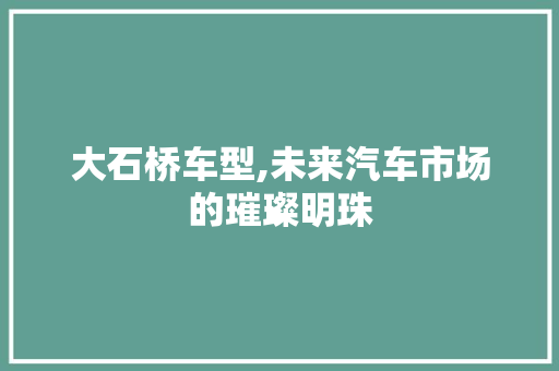 大石桥车型,未来汽车市场的璀璨明珠