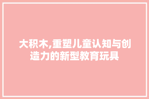大积木,重塑儿童认知与创造力的新型教育玩具