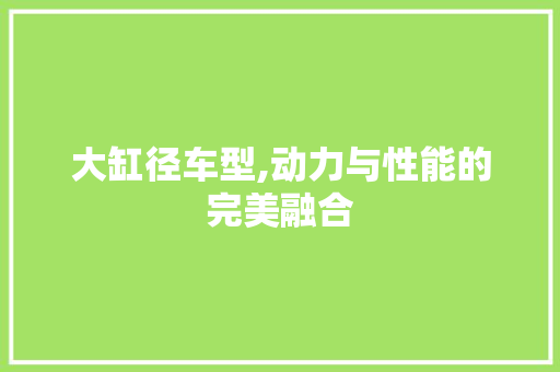 大缸径车型,动力与性能的完美融合 车灯配件