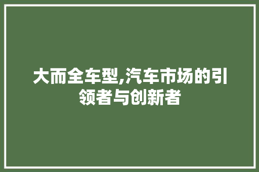 大而全车型,汽车市场的引领者与创新者 车灯配件