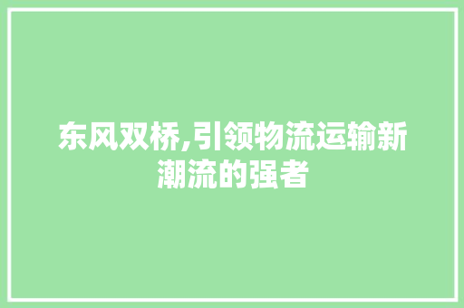 东风双桥,引领物流运输新潮流的强者